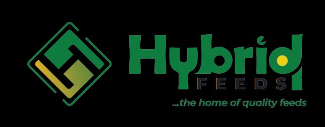 Sponsor 4